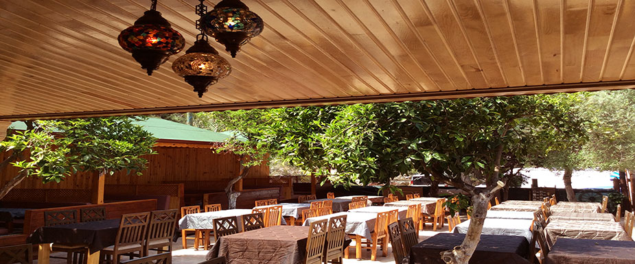 divasa hotel olympos